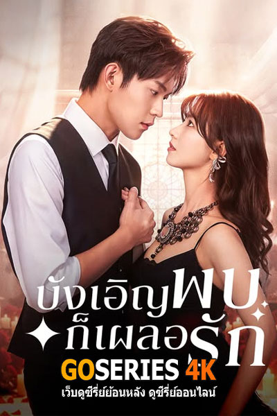 บังเอิญพบก็เผลอรัก